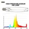 Ipower 1000 Watt High Pressure Sodium HPS Grow Light Bulb Lamp 1/2/4/6/12-PACK, 12PK GLBULBH1000X12 - alternate 3